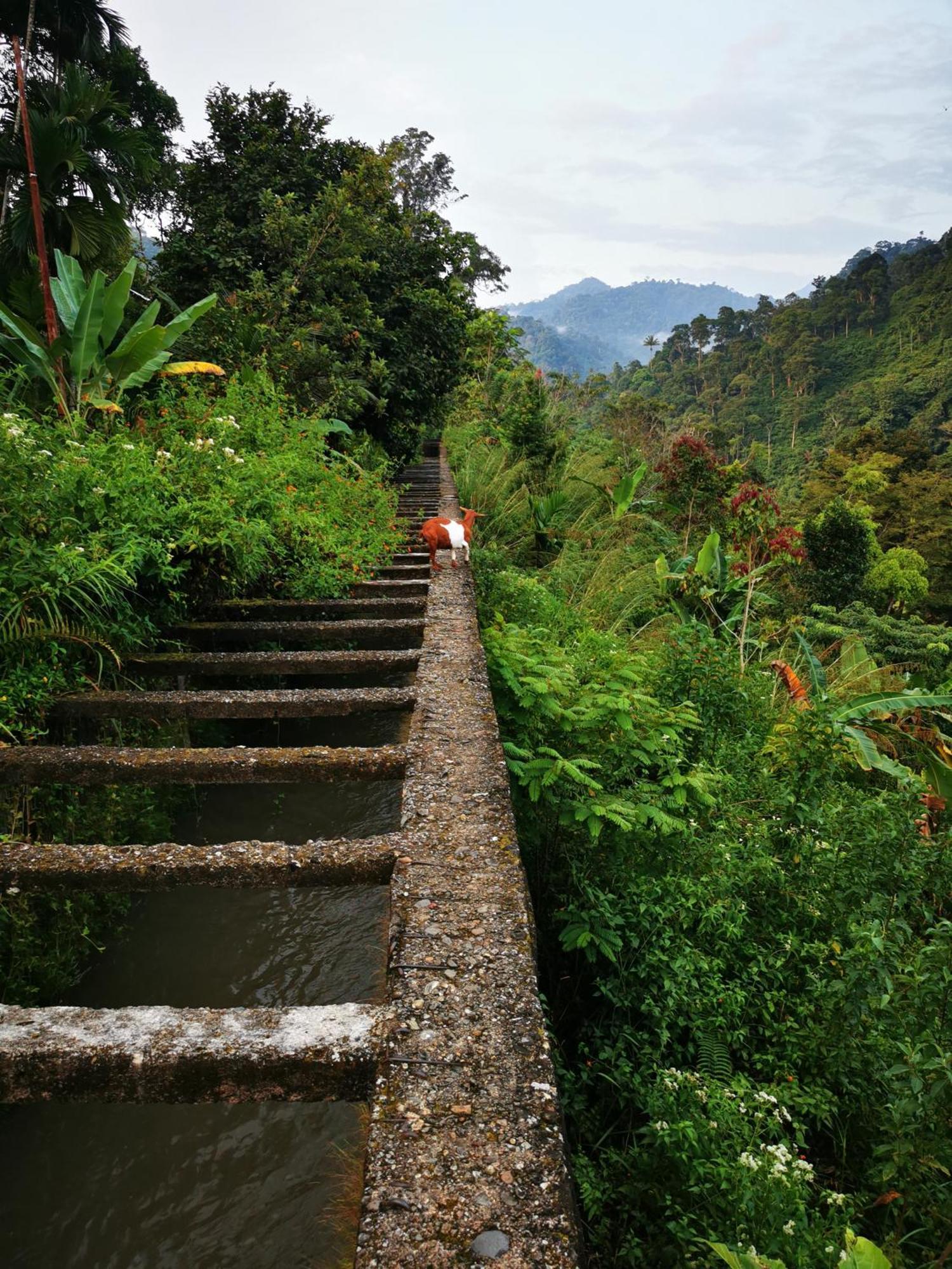 Mila Homestay Padang  Buitenkant foto