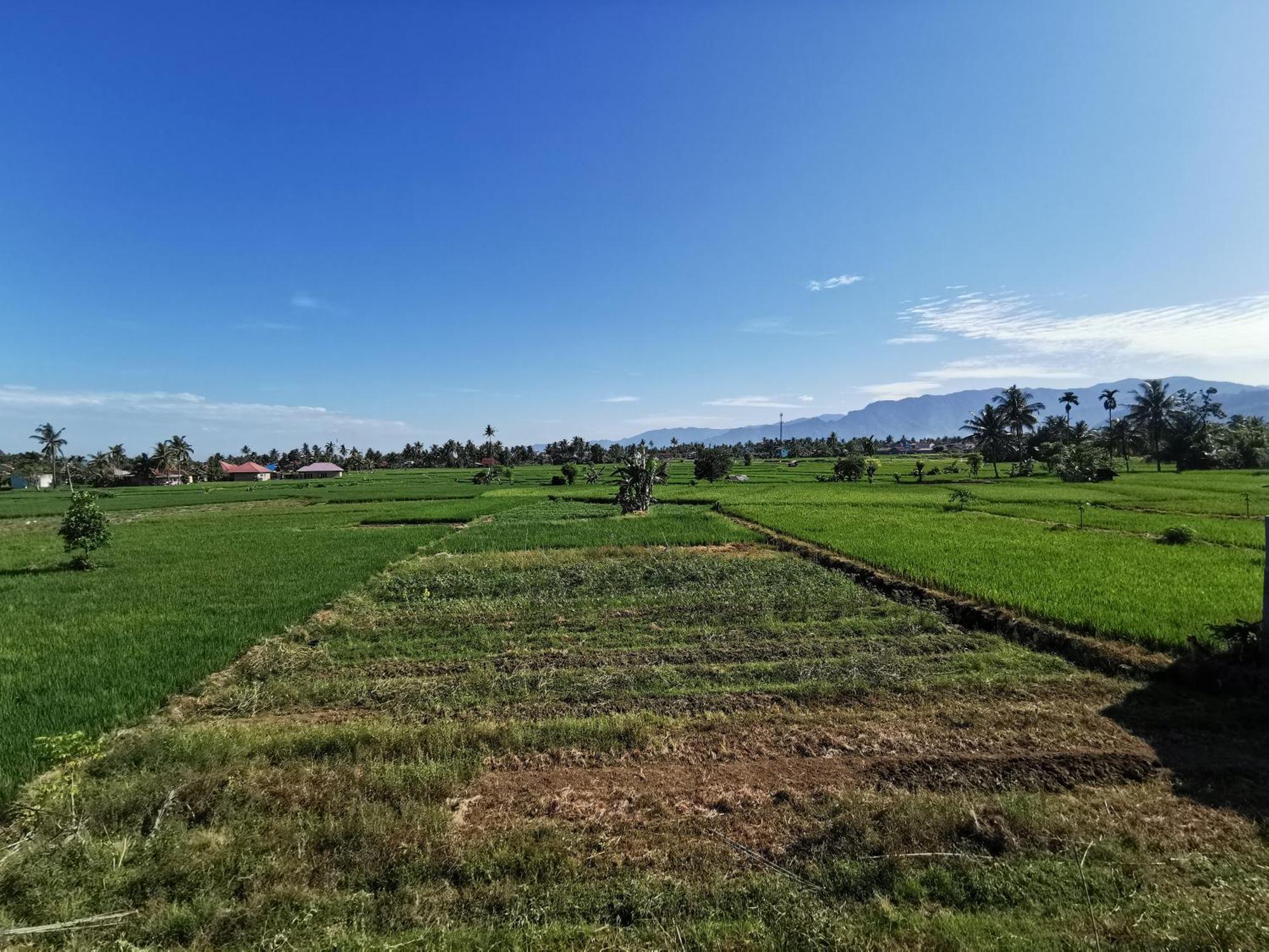 Mila Homestay Padang  Buitenkant foto